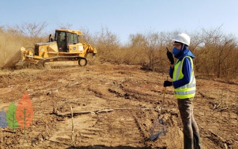 SUPRESSÃO DE VEGETAÇÃO